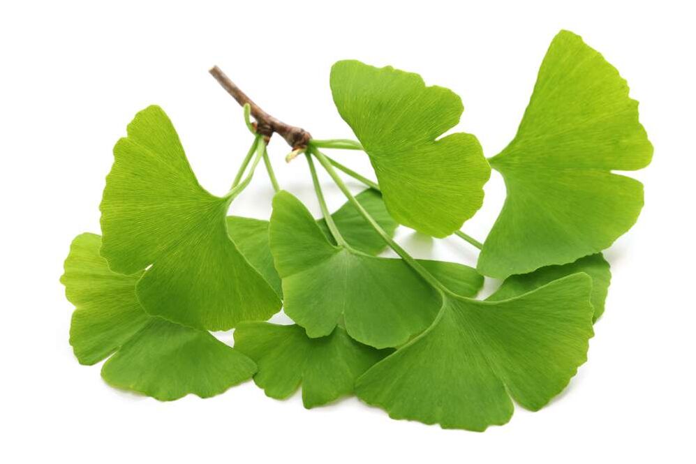 gingko biloba kapsulās Glucoren